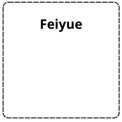 Feiyue