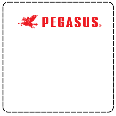 Pegasus